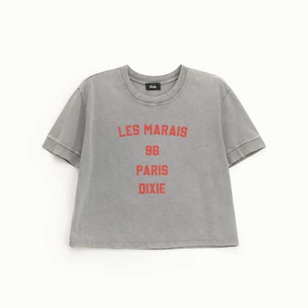16878-000-16906-jpg T-shirt DIXIE - immagine 1
